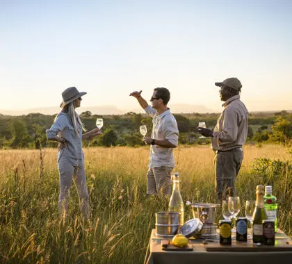 Sundowners en la sabana | Singita Sabi Sand