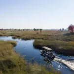 Safaris acuáticos en el Delta.