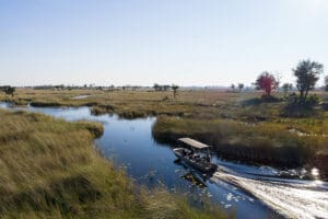 Safaris acuáticos en el Delta.