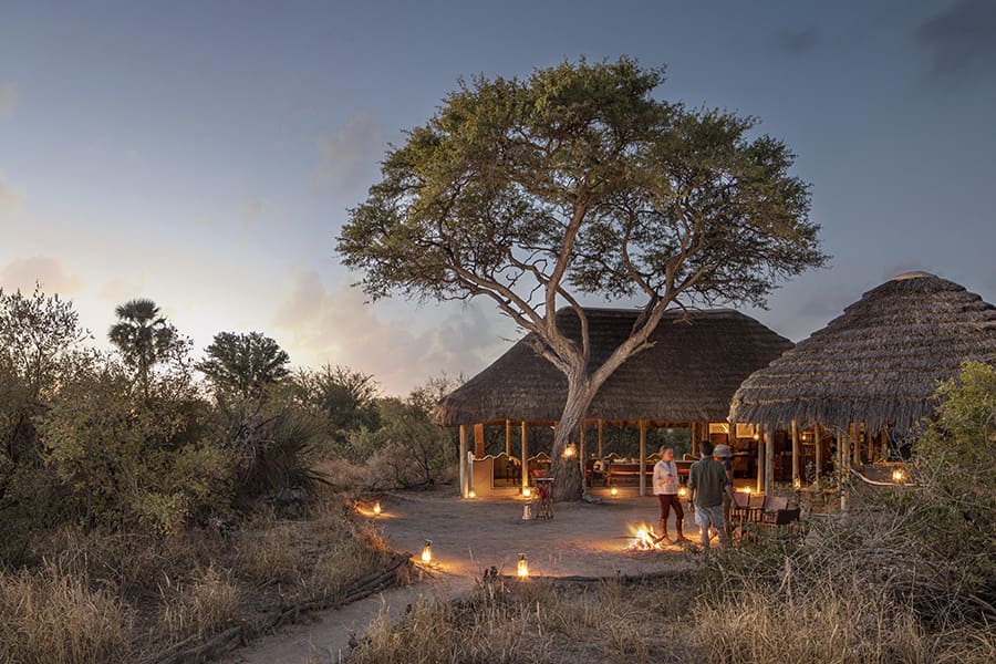 Lunas de miel en el Kalahari, Botsuana | Go2Africa 