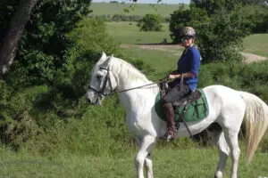 Horse riding in the Masai Mara with a lion in the background. 
