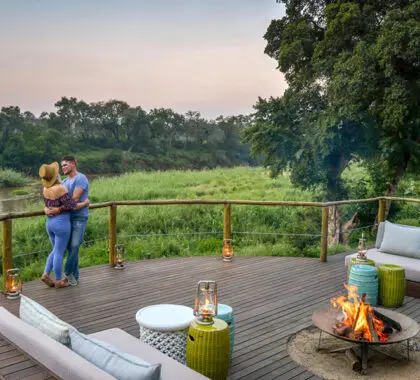 A romantic safari getaway.