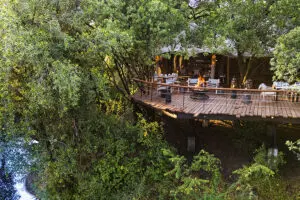 Be surrounded by pure wilderness. 