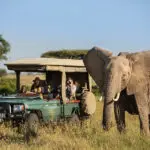 Get up close to elephant. 