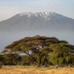 Whether you’re trekking it or watching from afar, Kilimanjaro always takes your breath away. | Go2Africa
