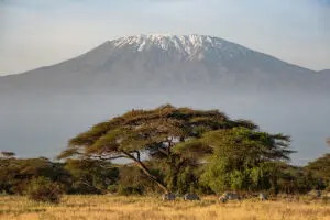 Whether you’re trekking it or watching from afar, Kilimanjaro always takes your breath away. | Go2Africa