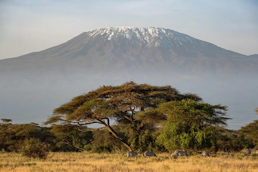 Vistas del Kilimanjaro desde las llanuras