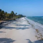 White sand and blue waters. 
