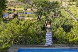 Keep a look out for wildlife walking past the camp. 