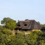 The camp blends perfectly into the natural surroundings. 