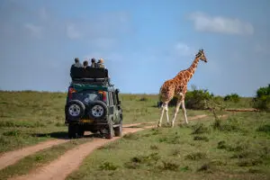 Avistamiento de animales emblemáticos, como la jirafa, en los safaris | Solio Lodge