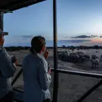 O deque de observação proporciona excelentes vistas da vida selvagem sem sair do acampamento | Porini Amboseli Camp