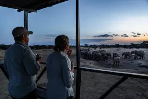 O deque de observação proporciona excelentes vistas da vida selvagem sem sair do acampamento | Porini Amboseli Camp