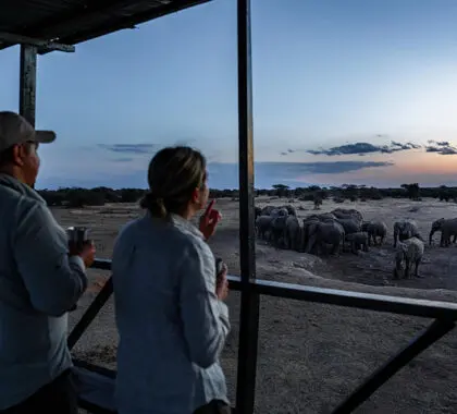 The viewing deck provides great wildlife sightings without leaving camp | Porini Amboseli Camp