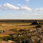 Game drives out in the dessert plains of the Serengeti. 