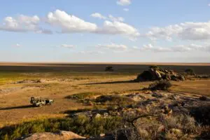 Game drives out in the dessert plains of the Serengeti. 