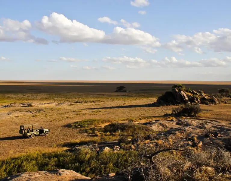 Game drives out in the dessert plains of the Serengeti. 