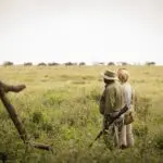 Walking safaris under the guidance of experts. 
