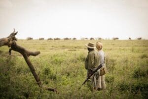 Walking safaris under the guidance of experts. 