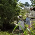 Sus guías privados están listos para enseñarle todo sobre la naturaleza salvaje | Angama Mara