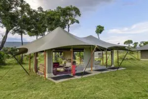 An open-air lounge area is a great spot to sit back and relax after your morning game drive.