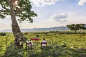 Appreciate the slowness of relaxing under a tree with the Mara at your fingertips. 