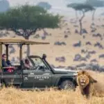 Year-round wildlife will keep you ticking off some must-see animals from your Big 5 list. 