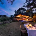 Outdoor dining under the stars.