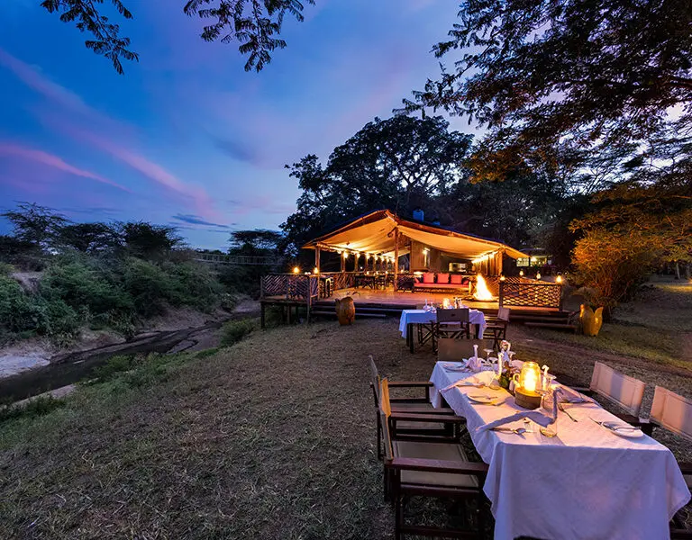 Outdoor dining under the stars.