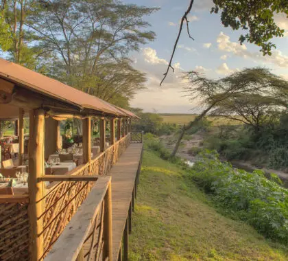 basecamp-masai-mara-restaurant-banner