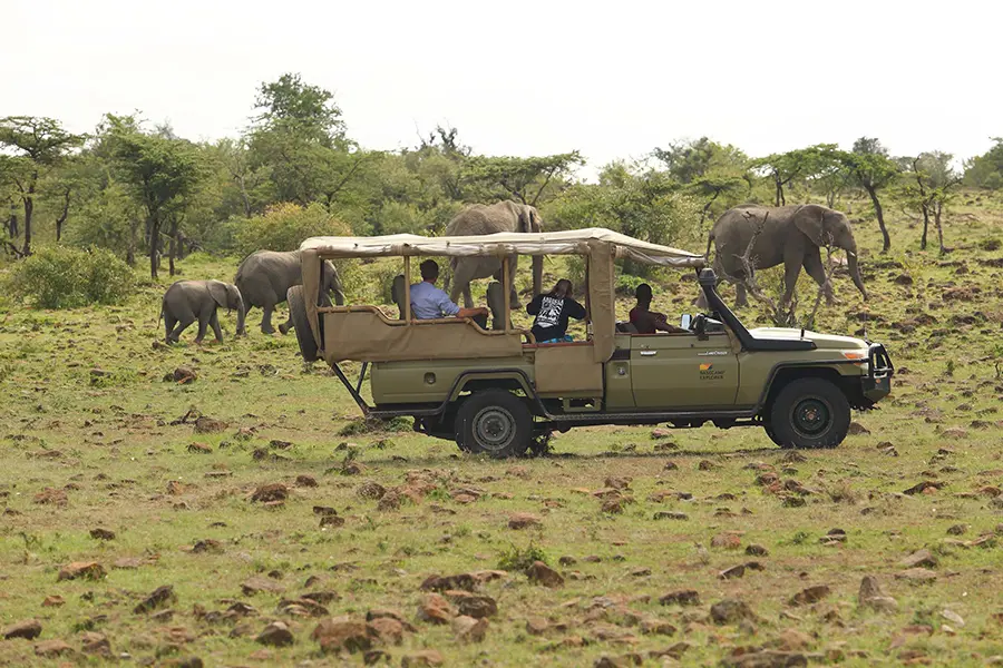 Game drive vehicles are perfectly suited to the terrain and ensure the best views for all passengers as possible.