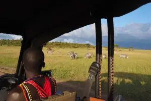 Game drives are led by expert local guides.