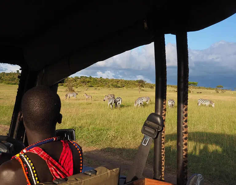 Game drives are led by expert local guides.