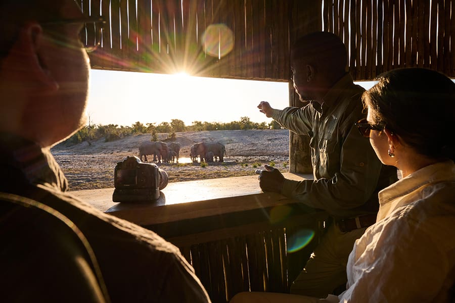 Safaris fotográficos africanos en Botsuana, Savute Safari Lodge | Go2Africa