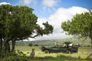 Recorridos por la reserva | Kwandwe Ecca Lodge