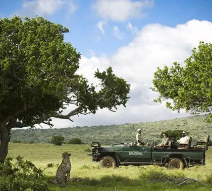 Recorridos por la reserva | Kwandwe Ecca Lodge