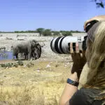 Las balsas de agua del Parque Nacional de Etosha ofrecen escenas únicas