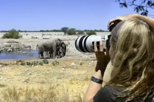 Las balsas de agua del Parque Nacional de Etosha ofrecen escenas únicas