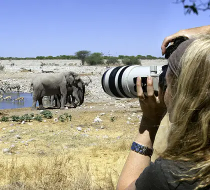 Las balsas de agua del Parque Nacional de Etosha ofrecen escenas únicas