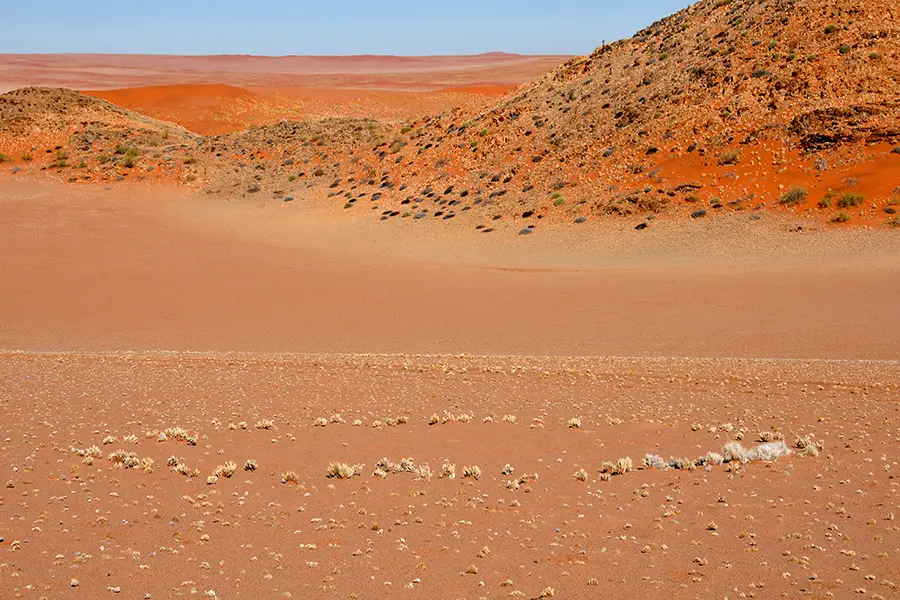 Fairy circles in the Namib Desert, Namibia | Go2Africa