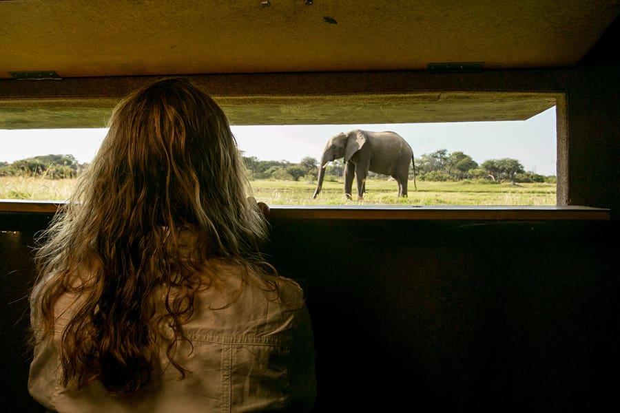 Encuentros con elefantes en el Parque Nacional de Hwange, Zimbabue | Go2Africa