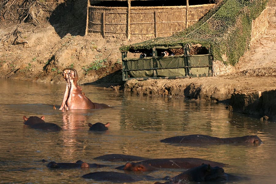 Safaris fotográficos en el Parque Nacional de South Luangwa, Zambia | Go2Africa