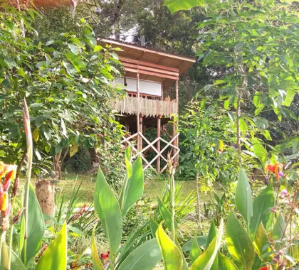 Una cabaña en el Lake Mutanda Resort.