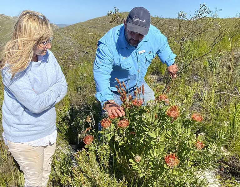 lekkerwater-beach-lodge-at-de-hoop-reserve-near-cape-town_2-2
