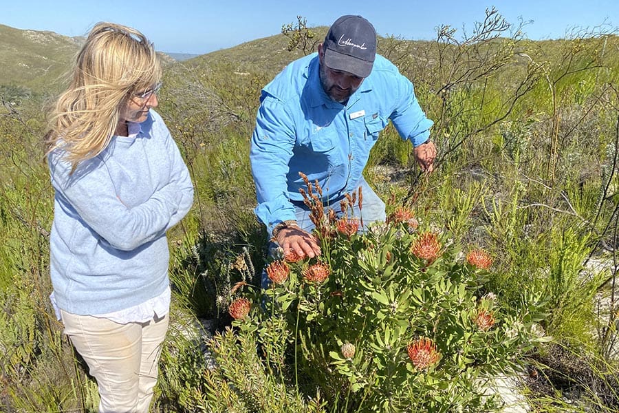 lekkerwater-beach-lodge-at-de-hoop-reserve-near-cape-town_2-2