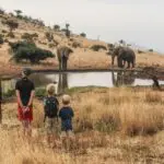 Guided bush walks to discover local wildlife. 