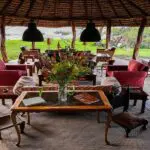 Relax under a thatched lapa.