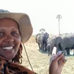 Sighting of the Ruaha elephants.