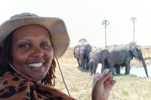 Sighting of the Ruaha elephants.