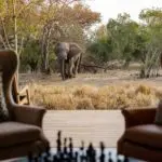 Elephants frequently visit Monwana Game Lodge. 